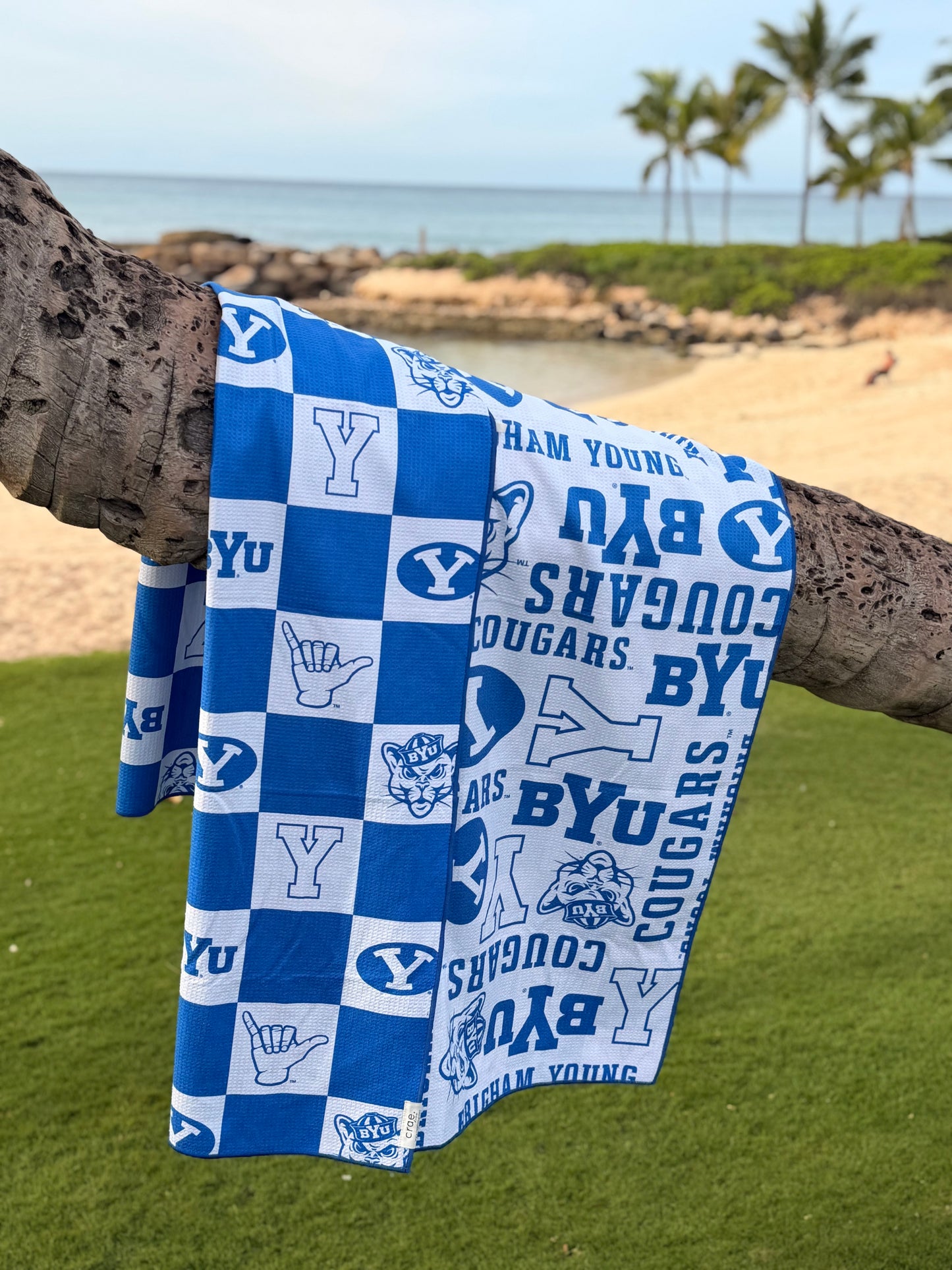 Bleeding Blue Pool Towel: Reversible