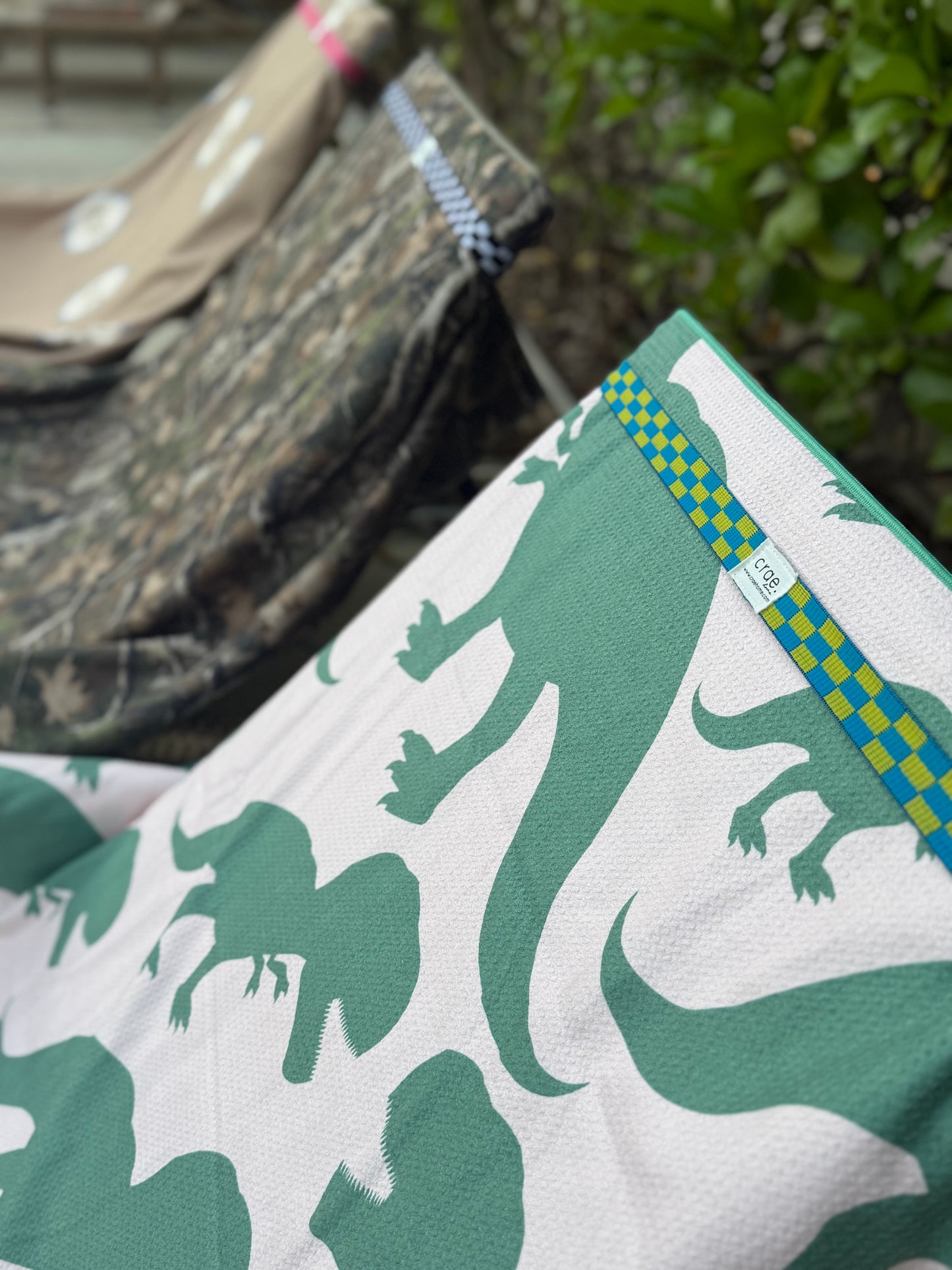 Rex Pool Towel: Reversible